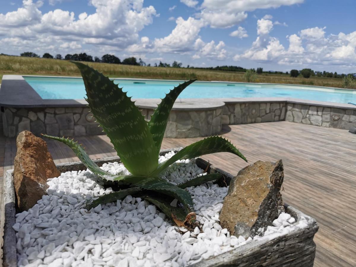 Casale Dei Gelsi Castiglione In Teverina Exterior foto